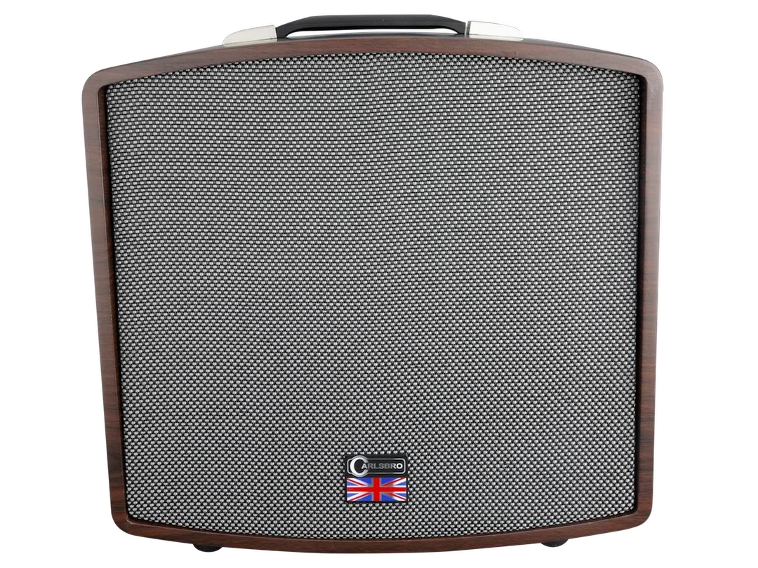 Carlsbro Stingray guitar amplifier D40