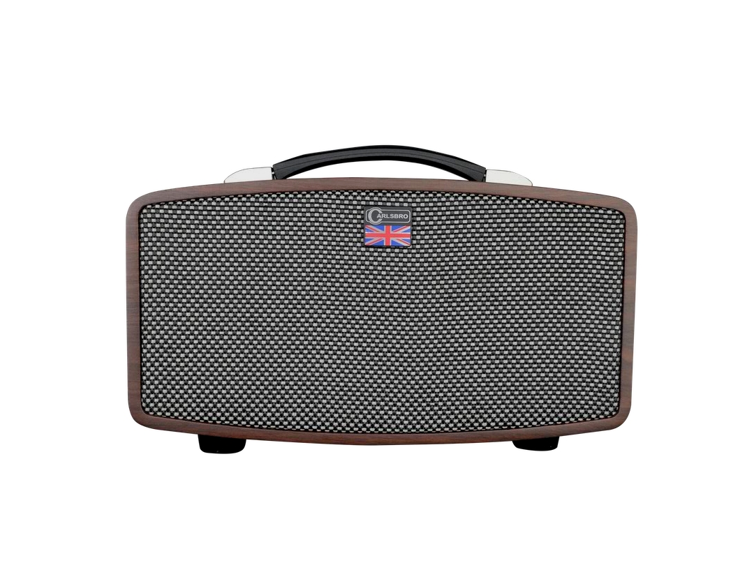 Carlsbro Stingray guitar amplifier D5 front